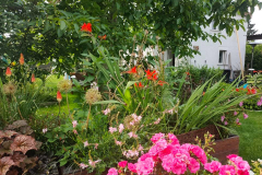 kgv-hippeland-garten-1