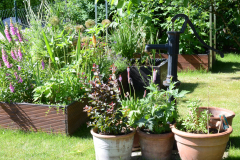 kgv-hippeland-garten-5